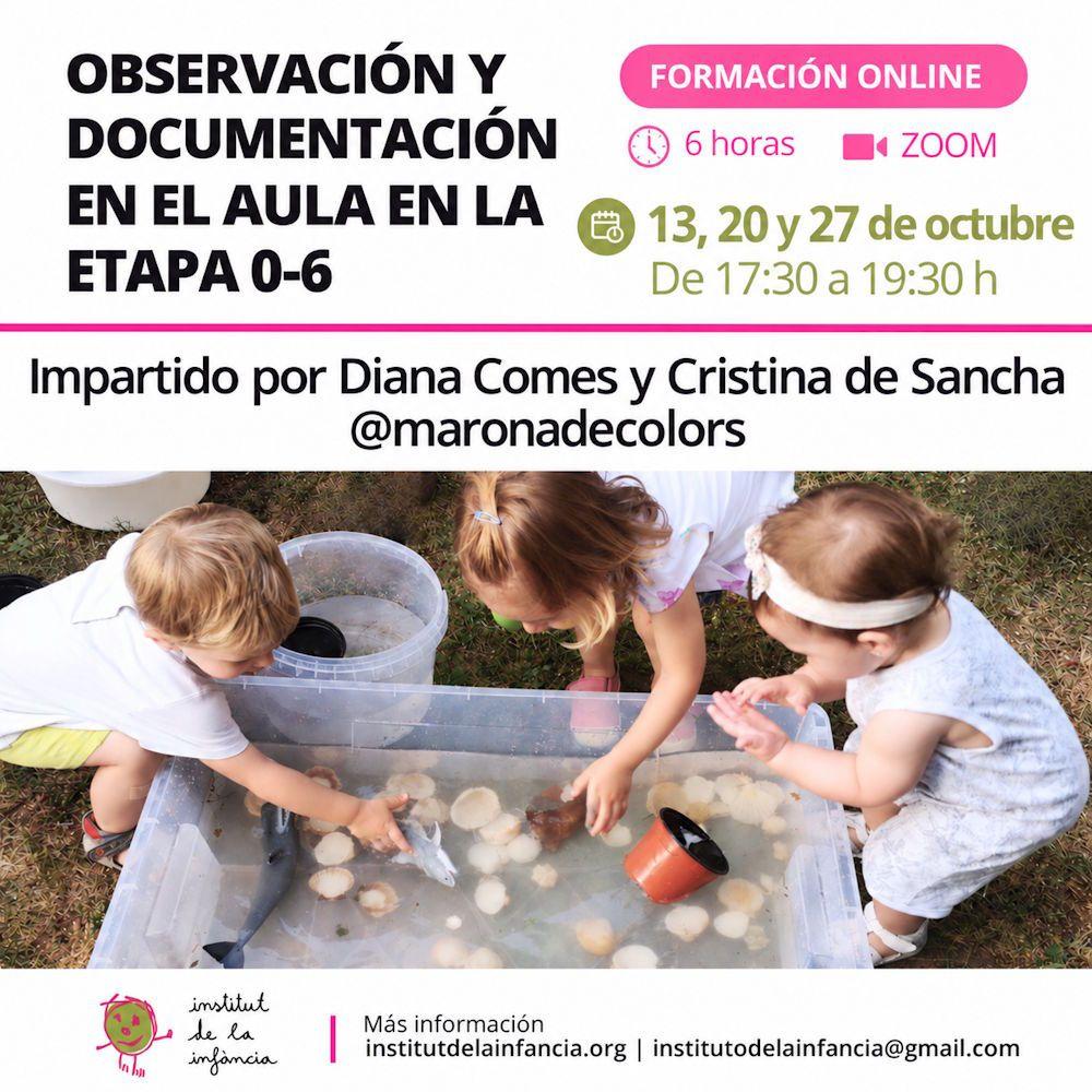 Documentación y observacion